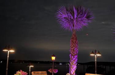 Lakefront Oasis - Photo 19