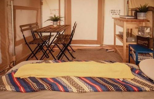 Oscar the Puma at Field of Dreams - Foto 6