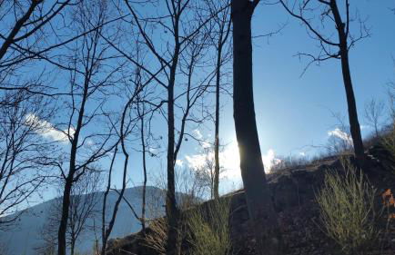 Ca l'ESTRELLA - Foto 47