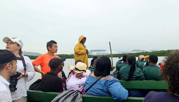Parcourez le sanctuaire des oiseaux de Caroni