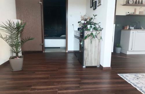 Two bedroom Apartment in Sankt Englmar, Bavaria - Foto 6