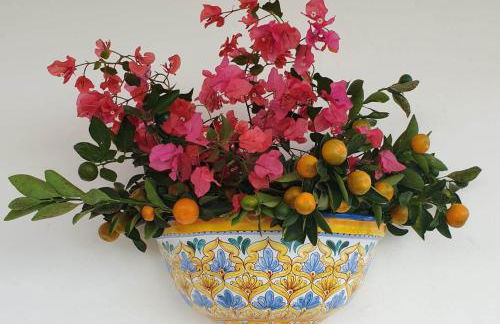 Il Canneto di Selinunte - Foto 31