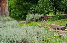 Guesthouse DARKWOOD - Foto 30