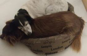 Agriturismo da Natalino - Foto 29