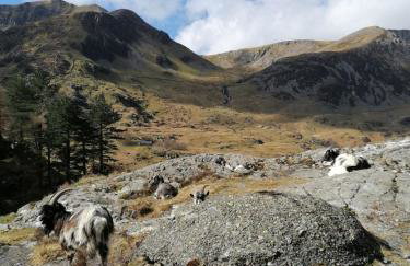 Claires Cottage - Photo 47