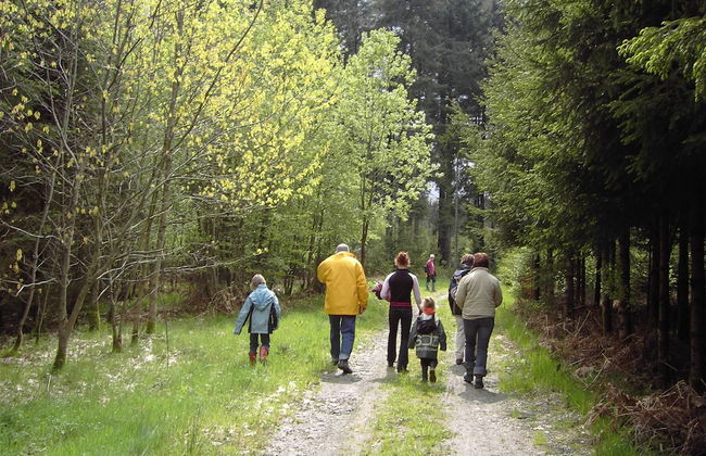 Spacious Holiday Home Near Bastogne - Foto 60