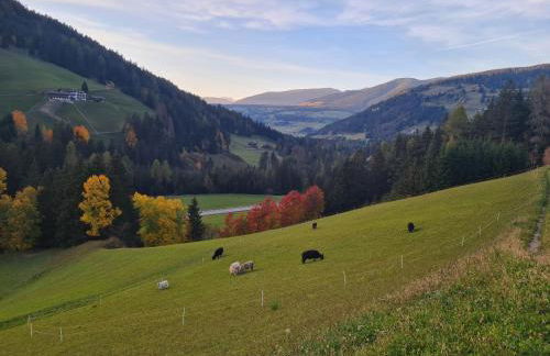 Biohof Untergröber - Foto 48