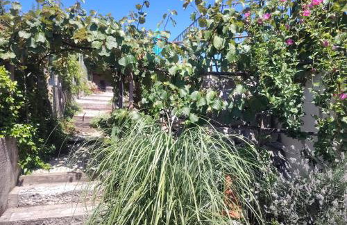 VILLA SALVIA - Holiday house with pool - - Foto 13