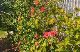 Port Aventura 5 min à pied - Superbe appartement - Foto 37