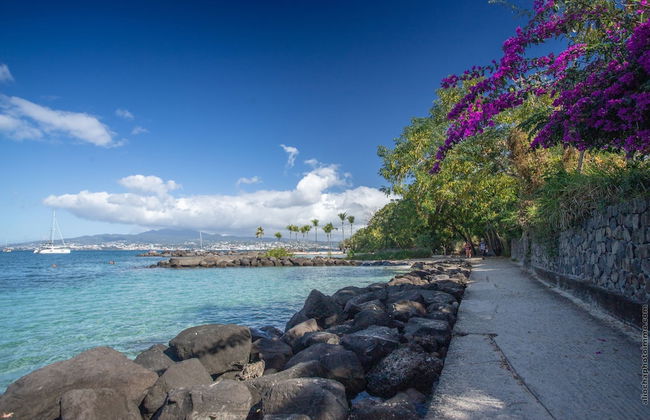 Horizon Bleu - Photo 18