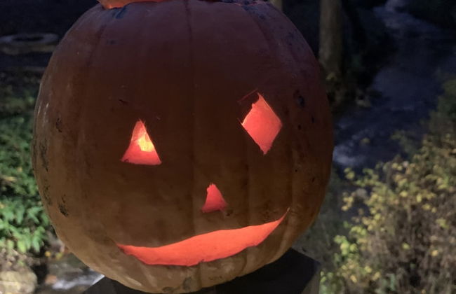 Gingershack Farms - Foto 52