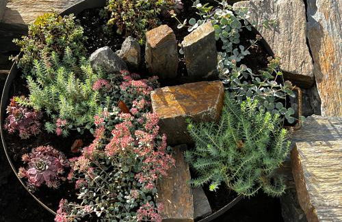 FeHaus Weltwald Harz - Foto 70