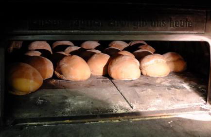 Urlaub im Herrenholz - Foto 17