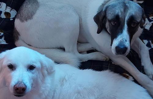 dimorafelice.sarteano - Photo 37