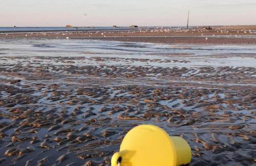 Lovely Holiday Home in Osmanville With Terrace - Foto 81