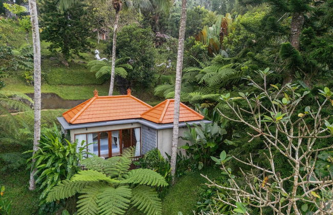 Tjendana Kanaka Jungle Resort Ubud - Foto 71