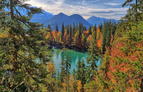 BelleVue centre, wifi, mountain view - Foto 38