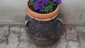 Martorey CIR 10 - Photo 4