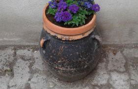 Martorey CIR 10 - Foto 4