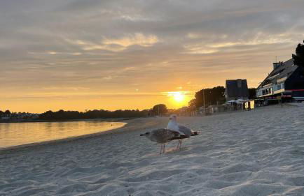 Une pause à Bénodet - Foto 19