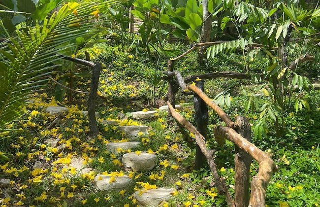 Akasha suites - Photo 52