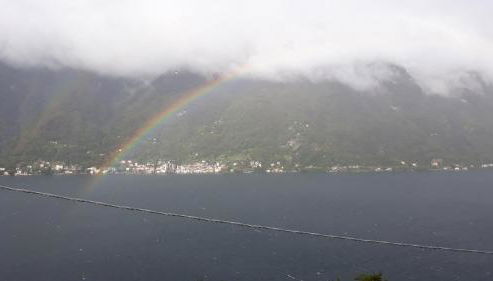 Gli Ulivi di Nesso - Foto 4