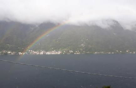 Gli Ulivi di Nesso - Foto 4