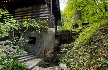 Party and vacation house Amigo - Photo 3