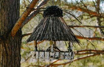 tuŻur domki nad potokiem - Foto 16