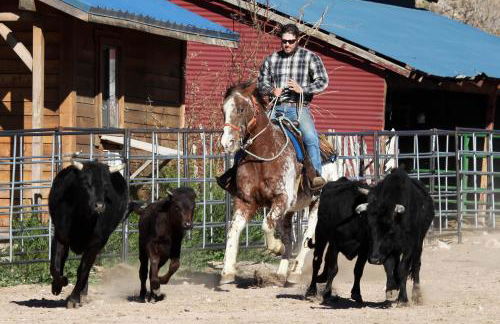 Grand Canyon Western Ranch - Foto 75