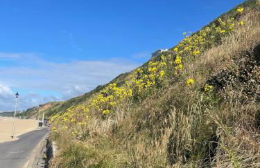 Villa Maria Southbourne - 2 Mins to Beach - Coastal - Dog-Friendly - Modern Luxury - Large Private Garden - Private Access - Parking - Foto 16