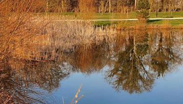 Cottage La Grenouillère - Photo 4