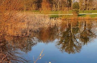 Cottage La Grenouillère - Foto 4
