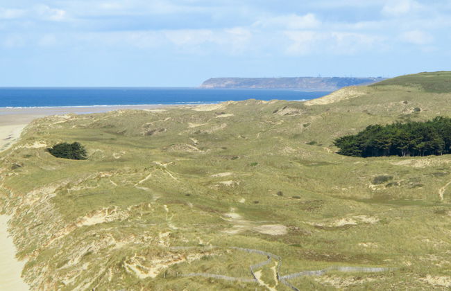 Les Chardonnets - Foto 18