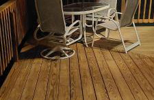 Forest View - Foto 14