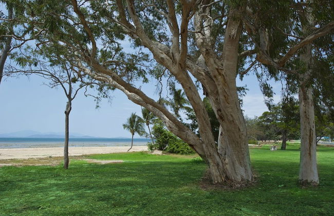 Beachcomber Unit 2 - Photo 14