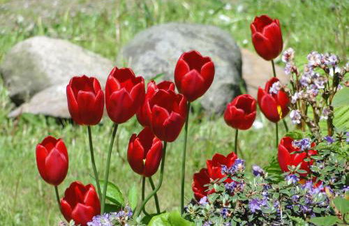 Ferienwohnung zum Breitling in Stove - Foto 10