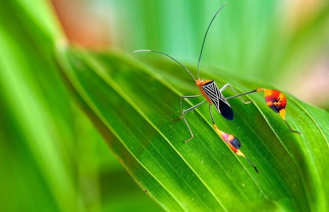 Pura Natura Lodge Arroyo - Foto 40