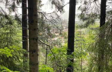 Exklusive 82 qm Loftwohnung mit Tiefgarage und Süd-Balkon zentral - Foto 11