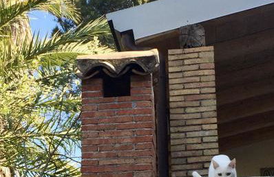 Aprisa apartment - Foto 39