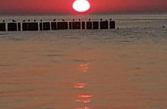 PINEA BALTIC - Double Sea View - Apartment z widokiem na morze - Photo 61