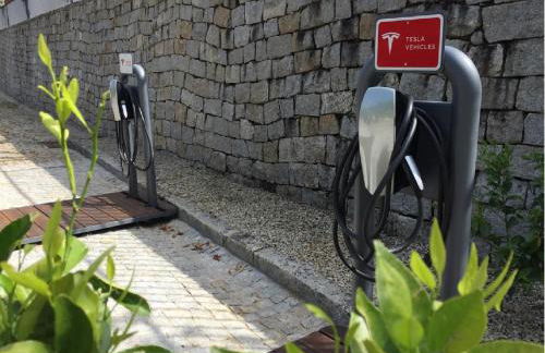 Quinta do Fontelo - Foto 22