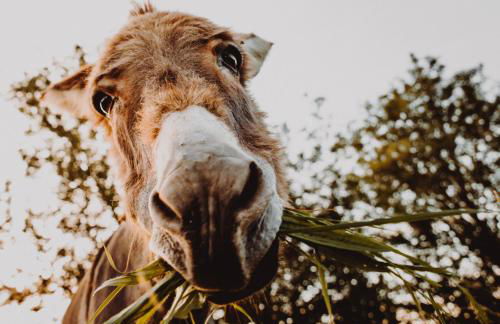 Babel´s Auszeit - Foto 70