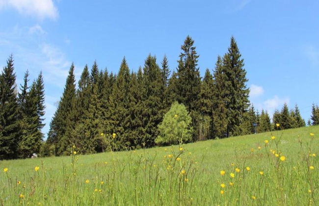 Comfortable Holiday Home With Sauna and Billiards, Near the Slopes - Photo 26