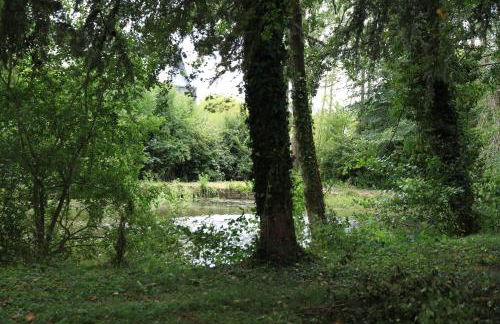 Normandie 12 couchages - Foto 17