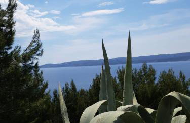 Apartmani Blazevic - Foto 23