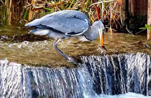 Castleford Cottage , Lowermill Estate - Photo 23