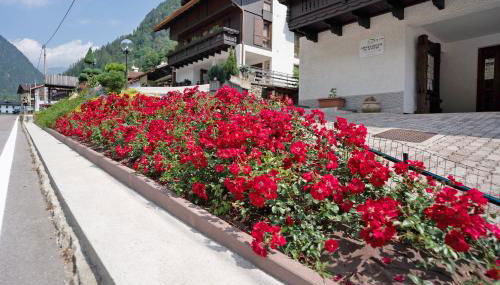 Residence Bonetti - Foto 5