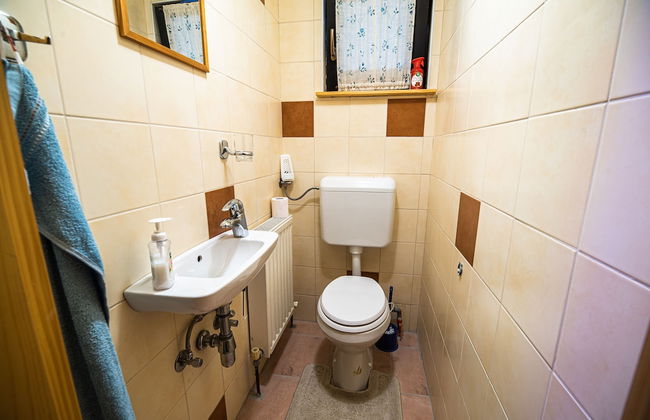 Apartments Zvoh, Krvavec, Ski-in, Ski-out - Foto 48