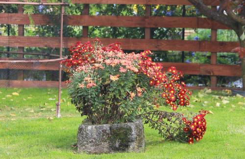 Casa dos meus avós -Villas - Gaia & Porto - Foto 28